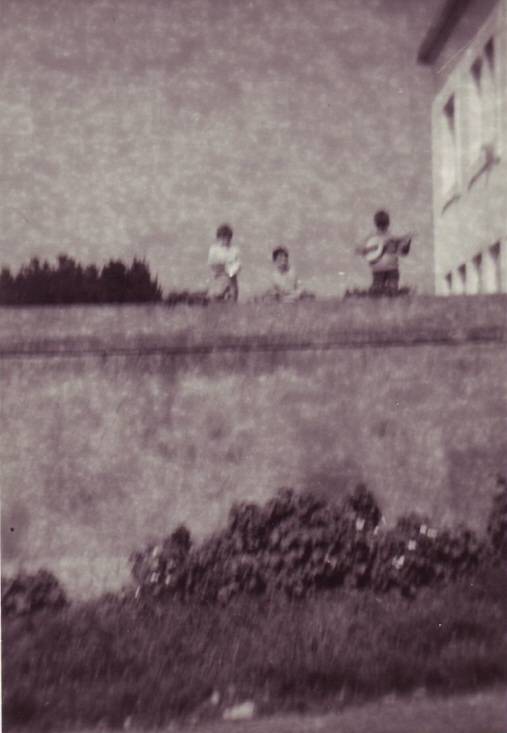 Os Terremotos do Curbeiro