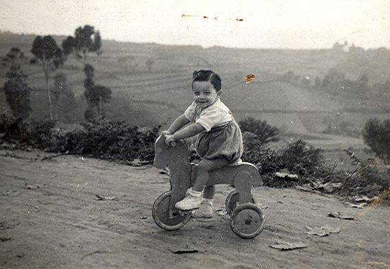 Co cabaliño de madeira. Anos 40
