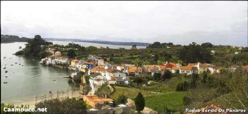 Redes dende os Páxaros