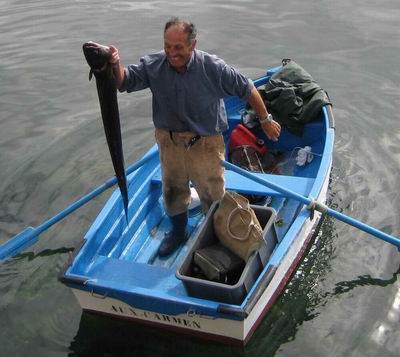 Grandes depredadores