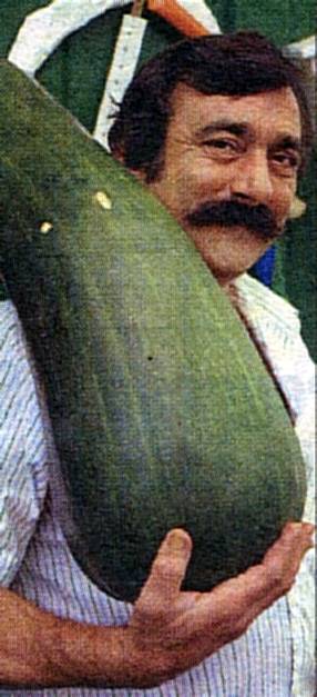 A mán que mece o calabacín