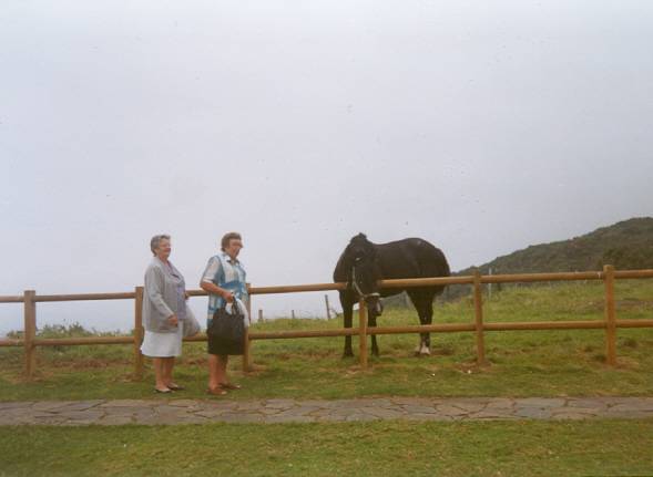 Caamoucanas en San Andrés de Teixido 4