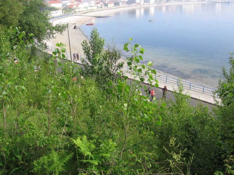 DeRedesAStaCatalina30Maio09098