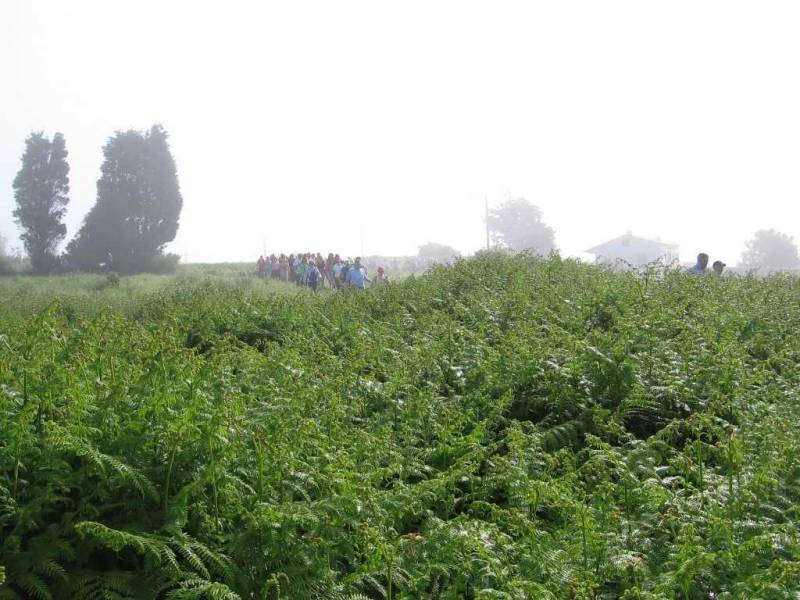 DeRedesAStaCatalina30Maio09105