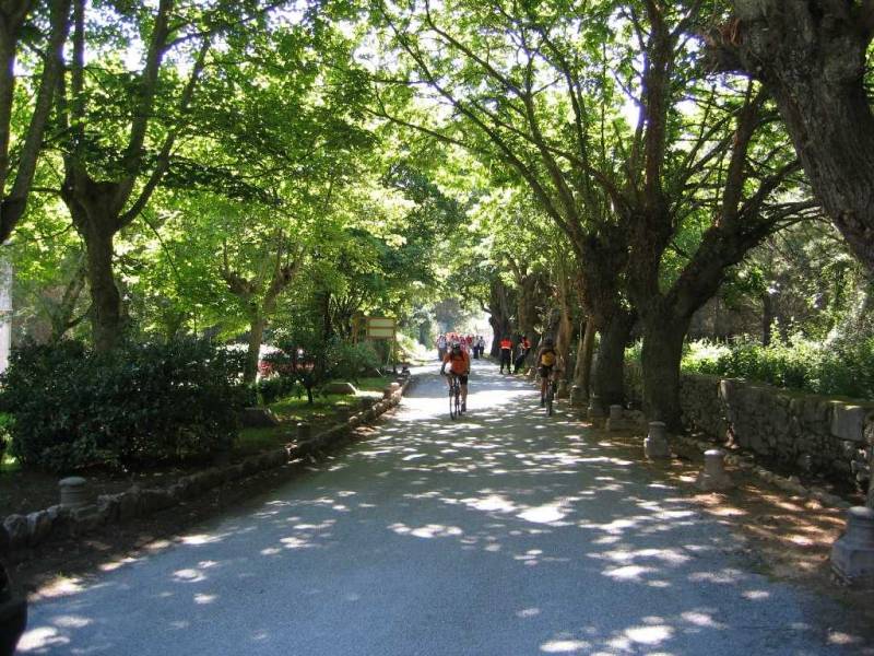 DeRedesAStaCatalina30Maio09203