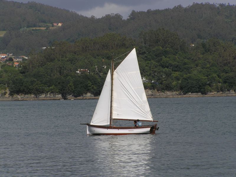 VII Regata 2009 Des 001