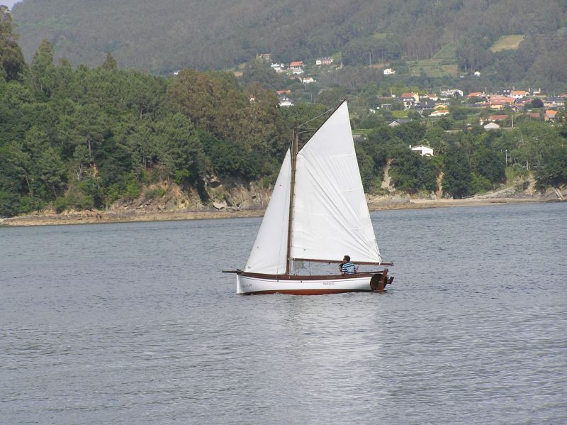 VII Regata 2009 Des 002