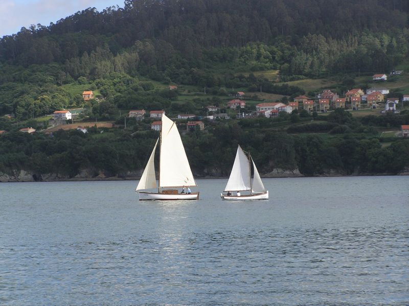 VII Regata 2009 Des 003