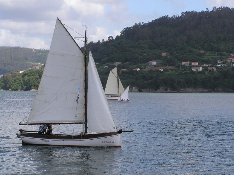 VII Regata 2009 Des 005