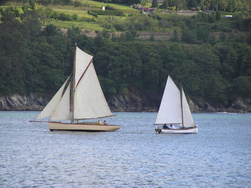 VII Regata 2009 Des 006