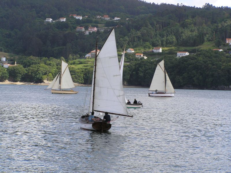 VII Regata 2009 Des 007