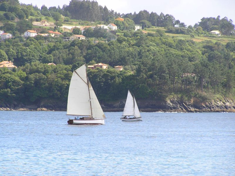 VII Regata 2009 Des 009