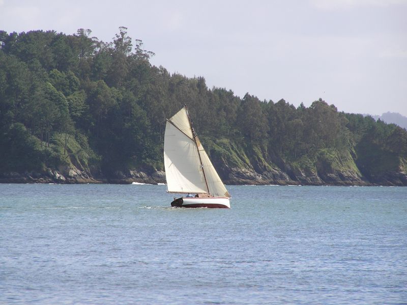 VII Regata 2009 Des 011