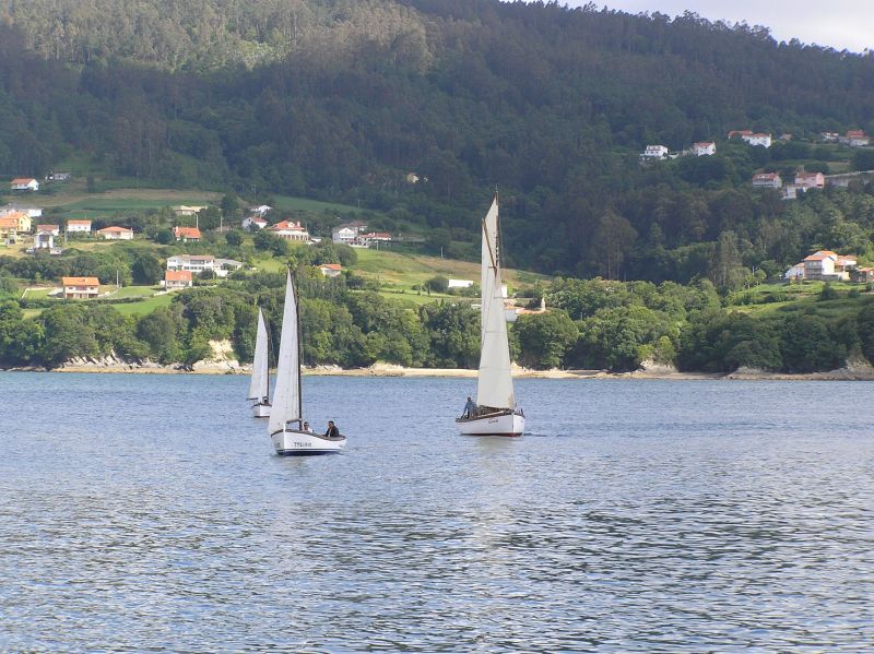 VII Regata 2009 Des 018