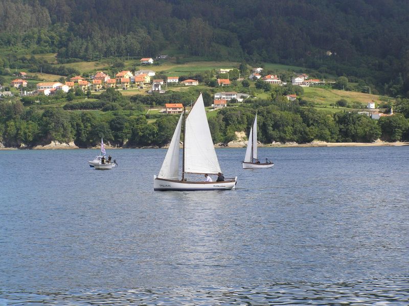 VII Regata 2009 Des 019