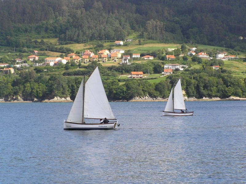 VII Regata 2009 Des 022