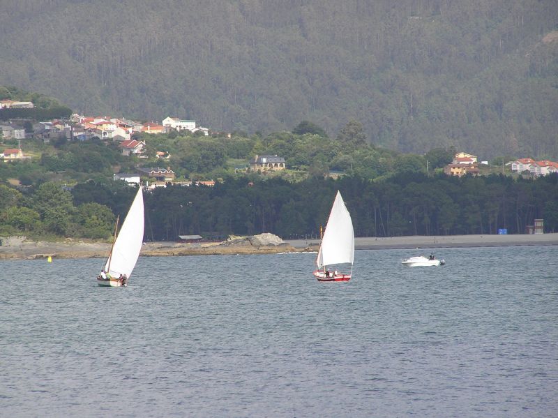 VII Regata 2009 Des 023