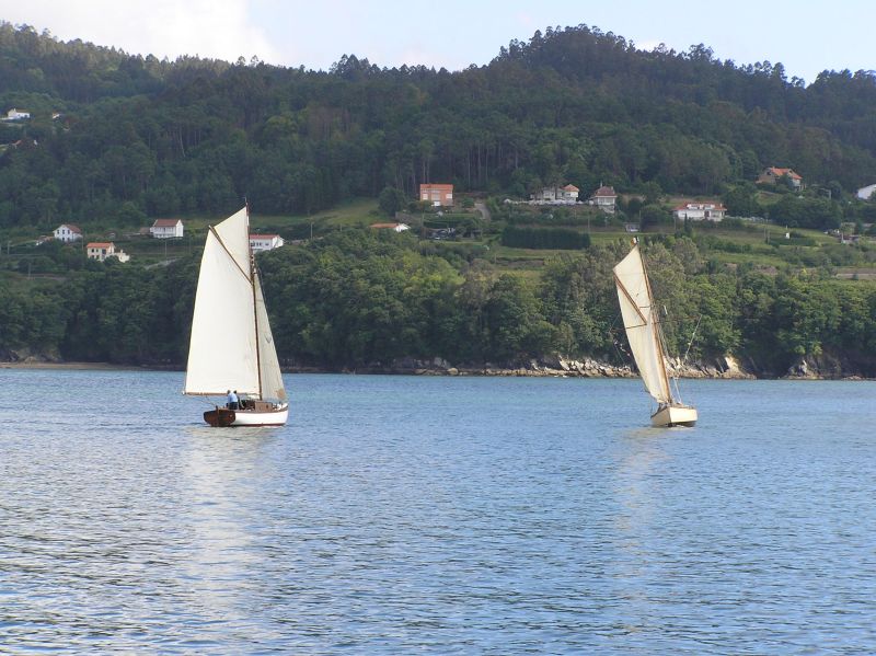 VII Regata 2009 Des 029