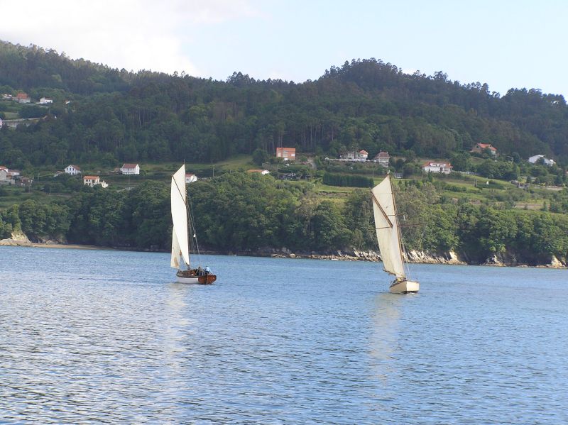 VII Regata 2009 Des 030