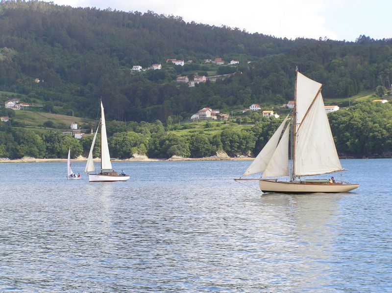 VII Regata 2009 Des 032
