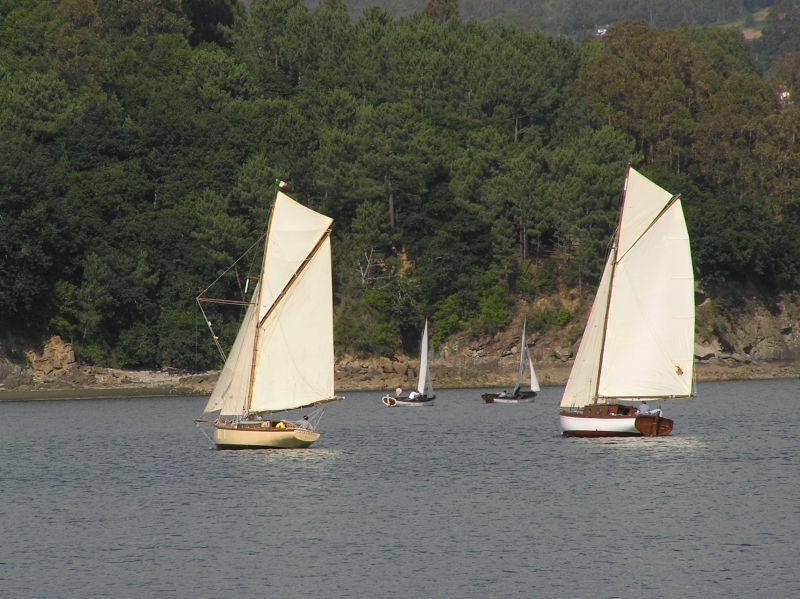 VII Regata 2009 Des 040