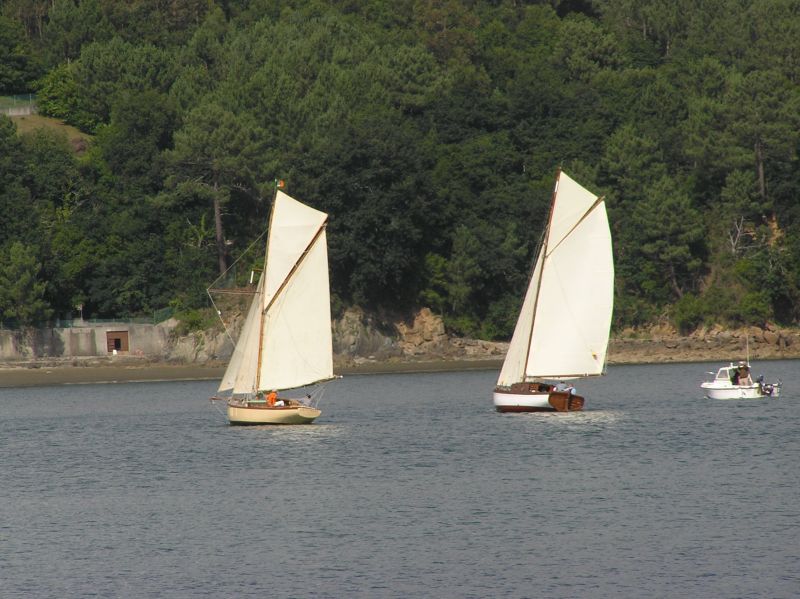 VII Regata 2009 Des 041