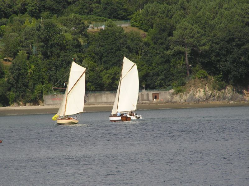 VII Regata 2009 Des 042