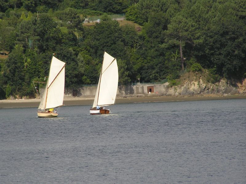 VII Regata 2009 Des 043
