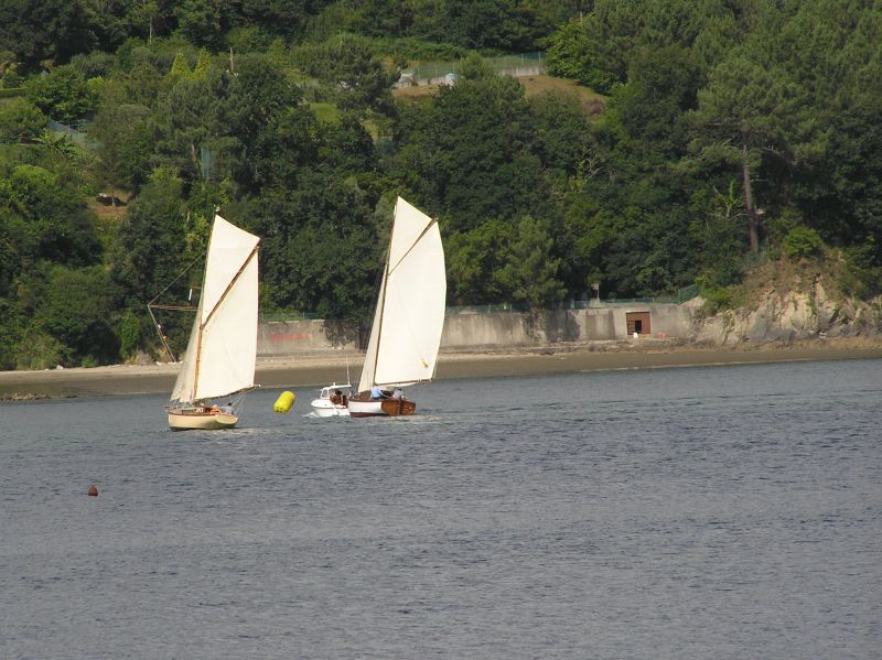 VII Regata 2009 Des 044