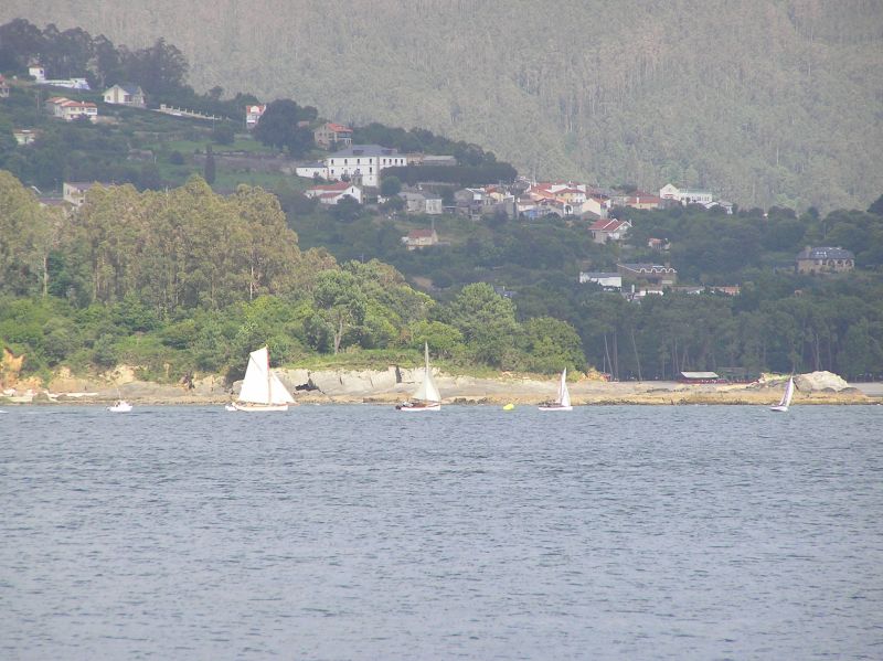 VII Regata 2009 Des 045