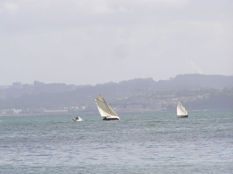 VII Regata 2009 Des 048