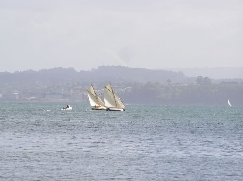 VII Regata 2009 Des 050