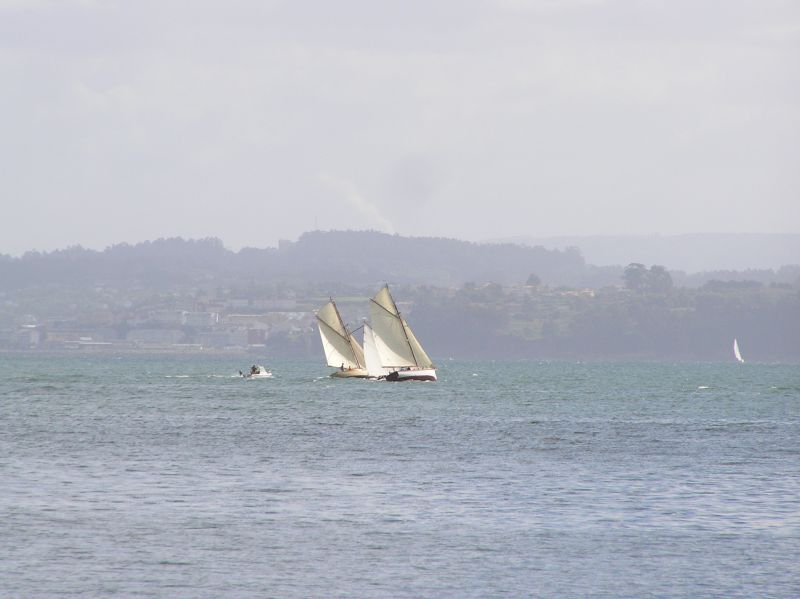 VII Regata 2009 Des 051