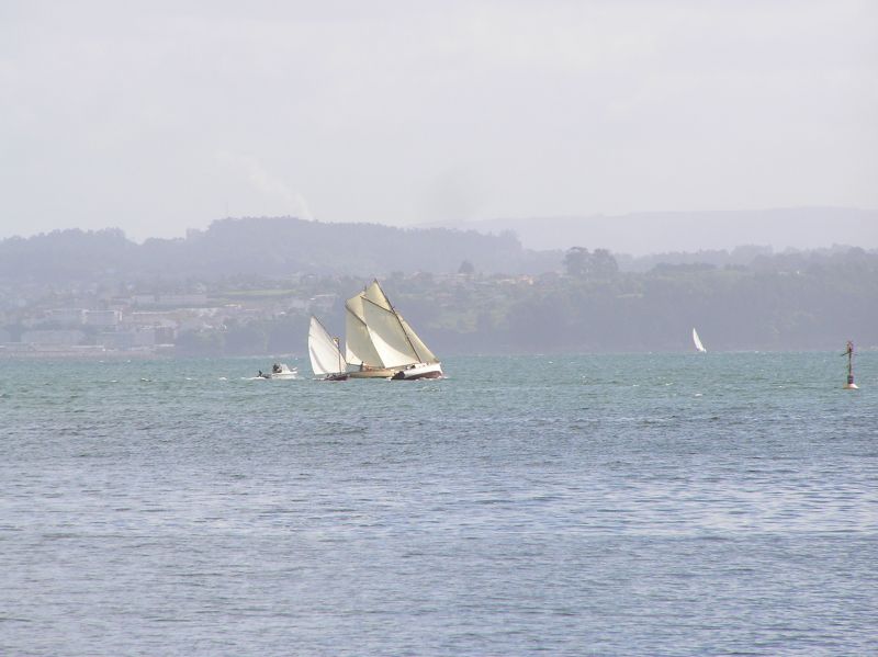 VII Regata 2009 Des 052