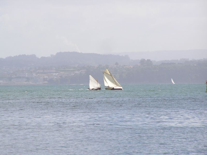 VII Regata 2009 Des 053