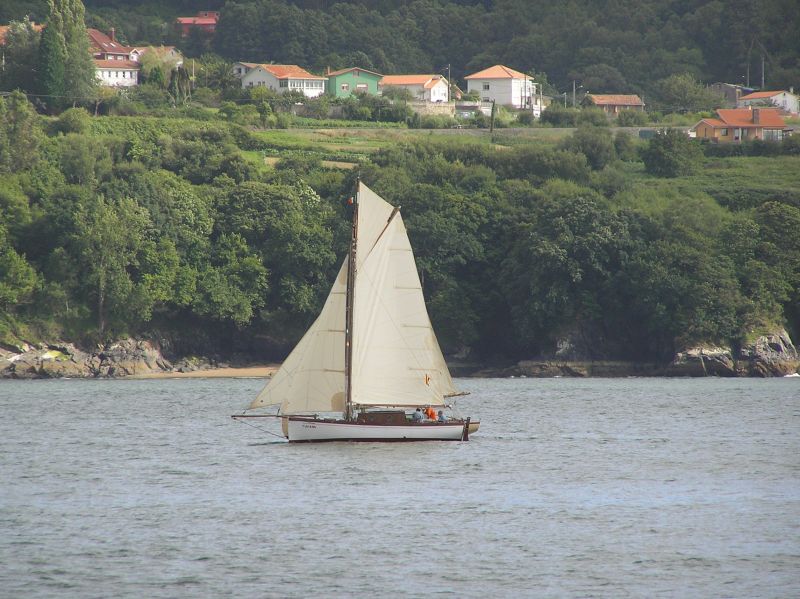 VII Regata 2009 Des 055