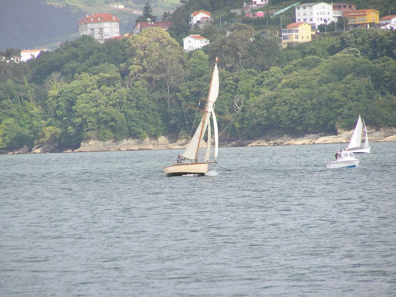 VII Regata 2009 Des 060