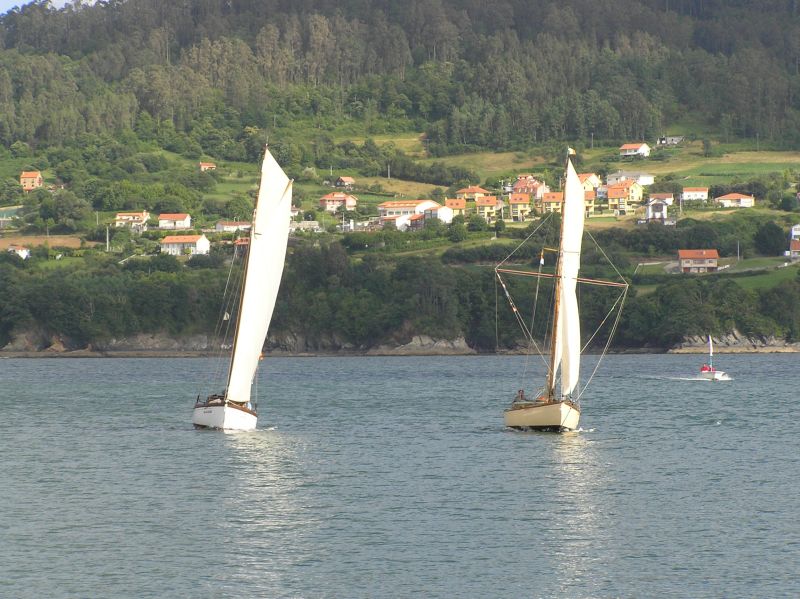 VII Regata 2009 Des 068
