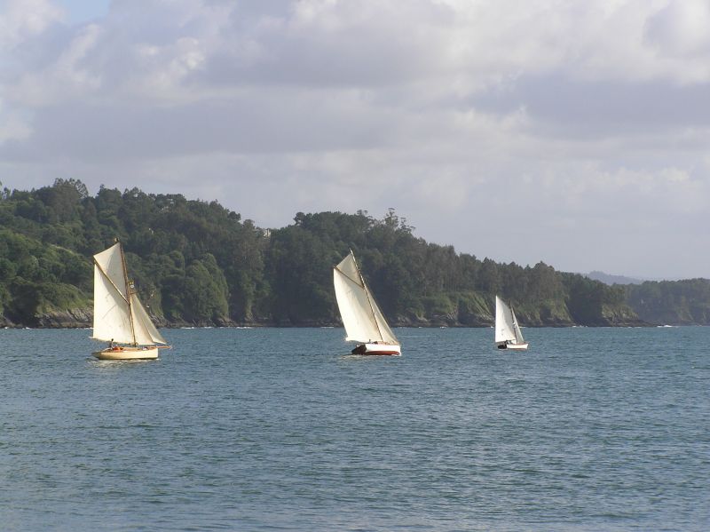 VII Regata 2009 Des 083