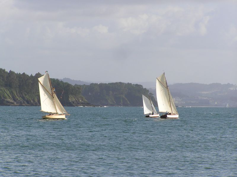 VII Regata 2009 Des 084