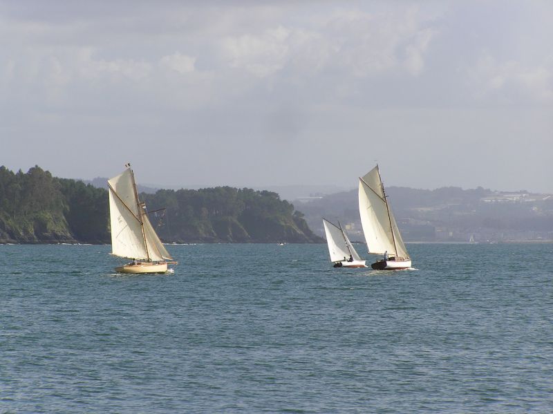 VII Regata 2009 Des 085