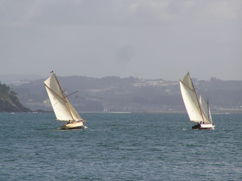 VII Regata 2009 Des 086