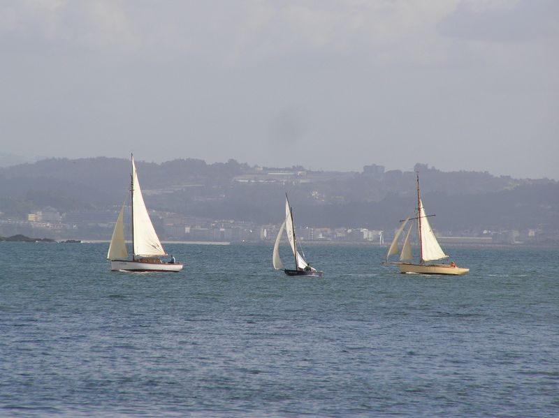 VII Regata 2009 Des 093
