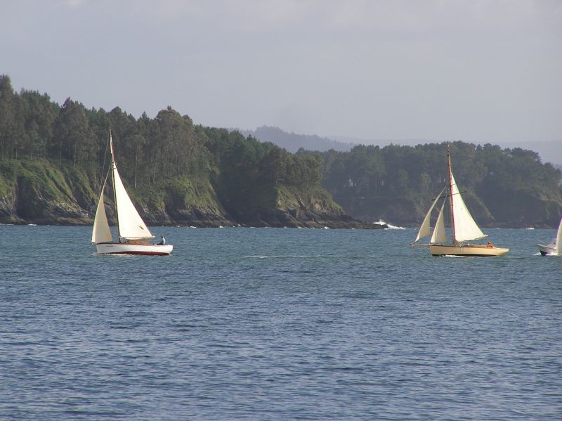 VII Regata 2009 Des 095