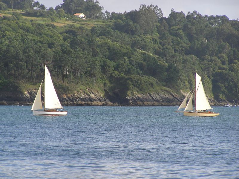 VII Regata 2009 Des 096
