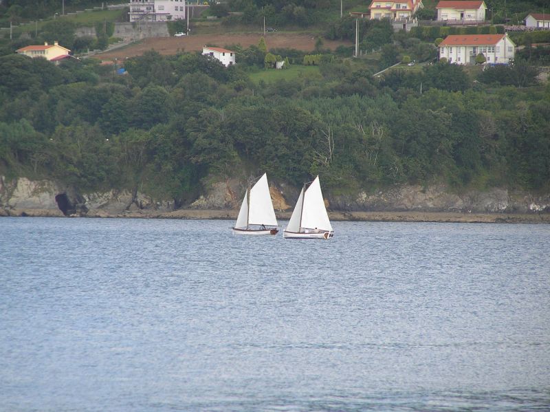 VII Regata 2009 Des 098
