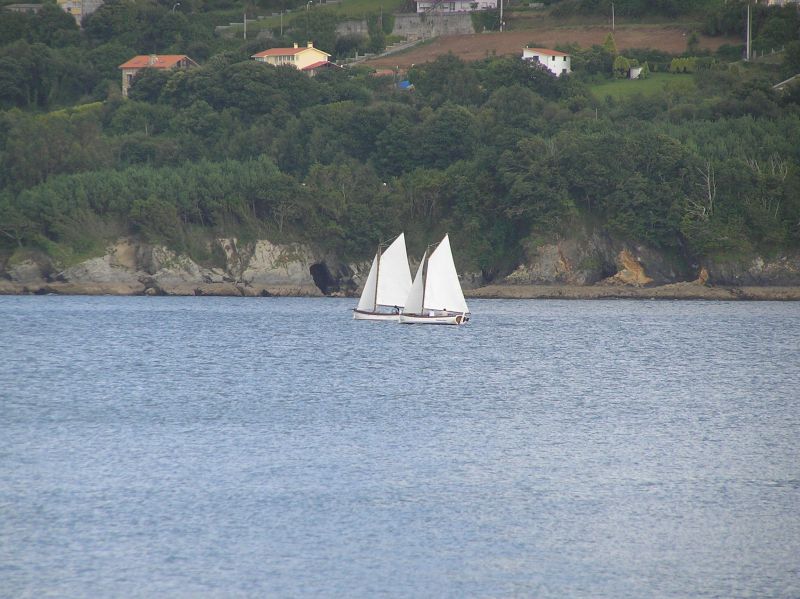 VII Regata 2009 Des 099