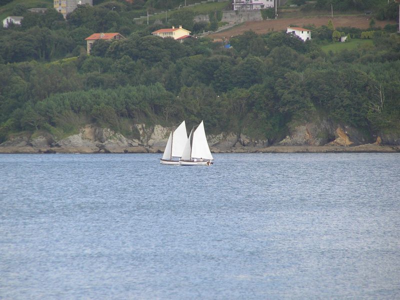 VII Regata 2009 Des 100