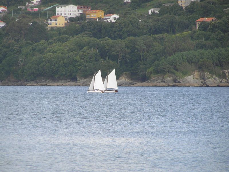 VII Regata 2009 Des 101