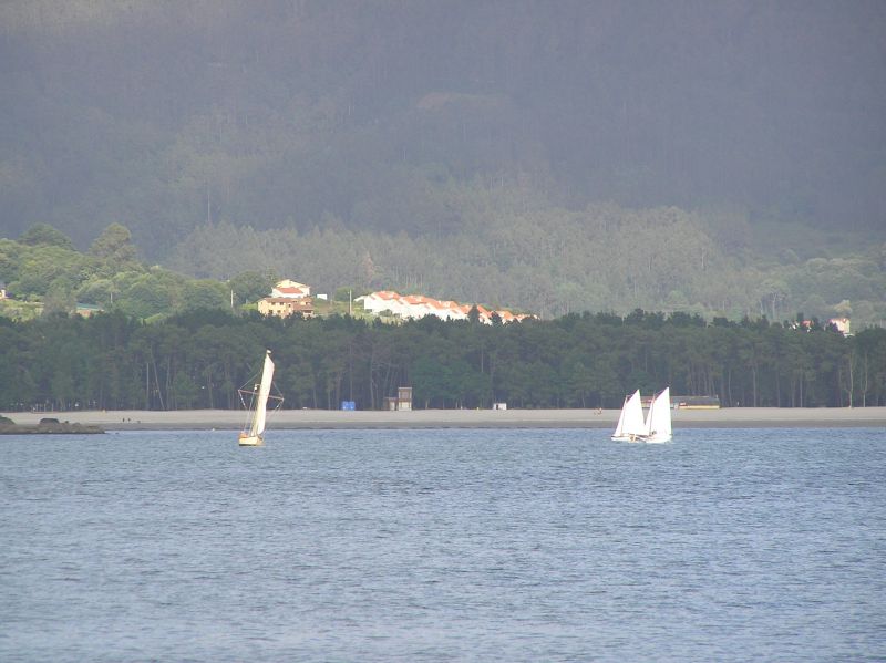 VII Regata 2009 Des 103